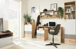 Dzieci Meblar Biurka Do Pokoju Młodzieżowego|Biurka Do Pokoju Dziecięcego*Biurko z szafką i szufladami do pokoju PIXEL PX8 biały,szary,dąb biszkoptowy