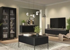 Lenart Szafki I Regały Do Biura|Witryny Do Jadalni*Duża witryna loftowa Trend TR-07 czarna