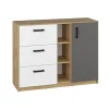 ML Meble Komody*Komoda z szufladami i szafką FINI 06