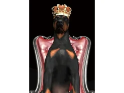 Signal Obrazy*Obraz Dog in Crown
