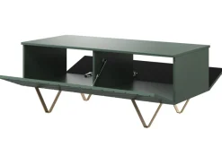 Bogart Stoliki Kawowe I Ławy*SCALIA ŁAWA 120 2K - labrador / złote nogi