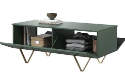 Bogart Stoliki Kawowe I Ławy*SCALIA ŁAWA 120 2K - labrador / złote nogi