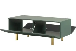 Bogart Stoliki Kawowe I Ławy*SCALIA II ŁAWA 120 2K - labrador / złote nogi