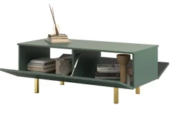 Bogart Stoliki Kawowe I Ławy*SCALIA II ŁAWA 120 2K - labrador / złote nogi