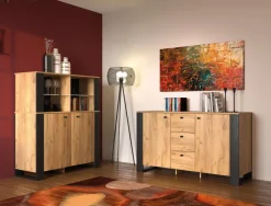 Mebelbos Szafki Rtv Do Salonu|Szafki Rtv*Szafka rtv industrialna Wood