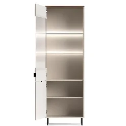 Mebelbos Witryny Do Jadalni|Witryny Do Salonu*Wysoki witryna EVO 1D1W kaszmir / dąb castello EO-06